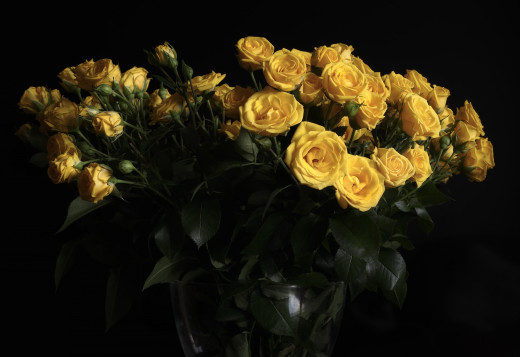 1714551 (a): :2048x1404